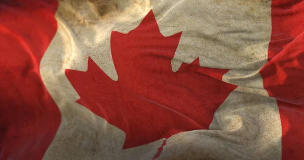 Old Canada Flag Waving Wind — ストック写真