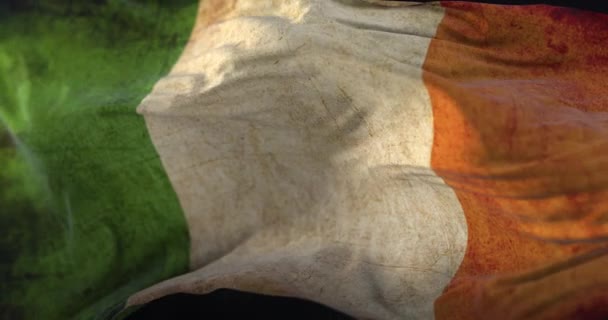 Old Ireland Flag Waving Wind Loop — Stock Video