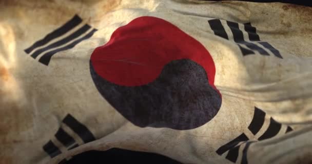 Old South Korea Flag Waving Wind Loop — Wideo stockowe