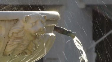 Genel çeşme bardak su dökme aslan heykeli yüzü olan uçları