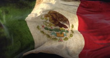 Old Mexico Flag waving at wind. Loop