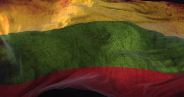 Old Flag Lithuania Waving Loop — Vídeo de Stock