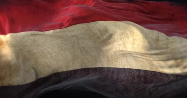 Старі Прапори Нідерландів Махають Вітром Петля — стокове відео