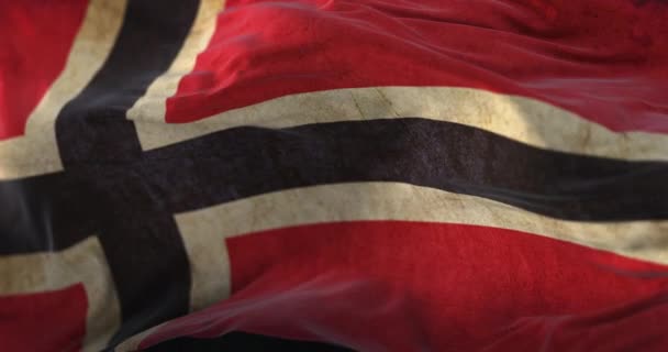 Old Norway Flag Waving Wind Loop — Stok video