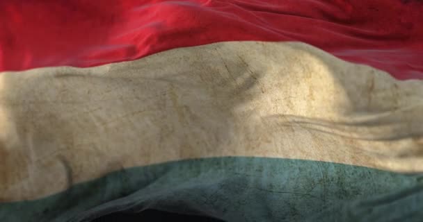 Старий Люксембурзький Прапор Махає Вітром Петля — стокове відео