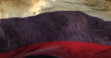 Eski Rusya Bayrağı rüzgara karşı sallanıyor. Döngü