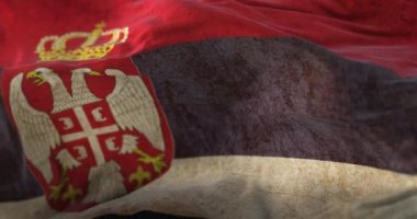 Old Serbia Flag waving at wind. Loop