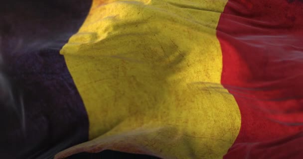 Old Romania Flag Waving Wind Loop — ストック動画
