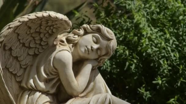 Sleeping Angel Statue Cemetery Macharaviaya Spain — Stock Video