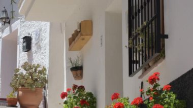 Typical andalusian white street in Macharaviaya, Spain