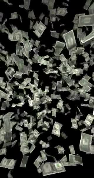 Uang Kertas Satu Dolar Amerika Berputar Vertikal — Stok Video