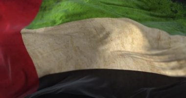 Old United Arab Emirates Flag waving at wind. Loop