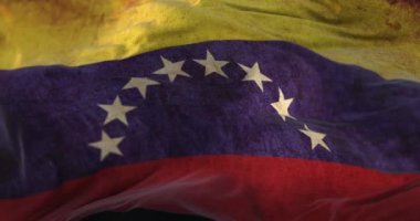 Old Venezuela Flag waving at wind. Loop