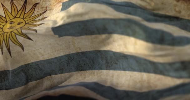 Old Uruguay Flag Waving Wind Loop — Stock video