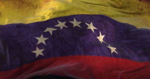 Old Venezuela Flag Waving Wind Loop — ストック動画