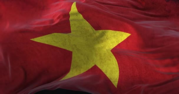 Old Vietnam Flag Waving Wind Loop — Vídeo de Stock