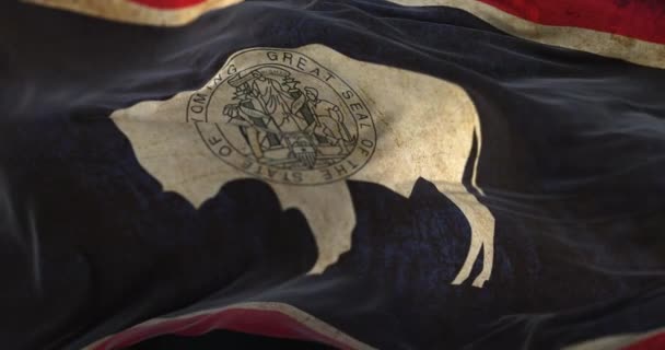 Old Wyoming State Flag Waving Wind Loop — Video Stock