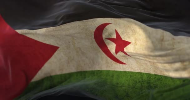 Old Western Sahara Flag Waving Wind Loop — Vídeo de Stock