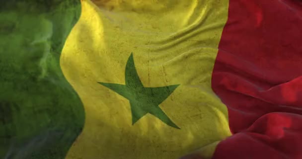 Old Senegal Flag Waving Wind Loop — стоковое видео