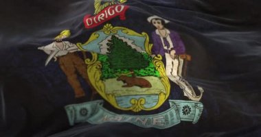 Old flag of american state of Maine, region of the United States - loop