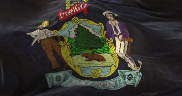 Old Flag American State Maine Region United States Loop — Stockvideo