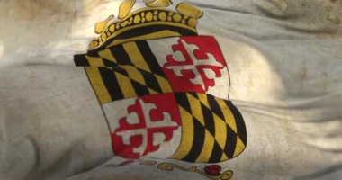 Old flag of Anne Arundel county, state of Maryland, United States - loop