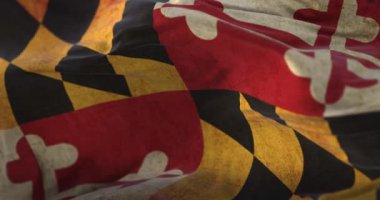 Old Flag of american state of Maryland, United States, waving at wind. Loop