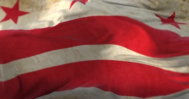 Old Flag Washington United States America Loop — Stockvideo