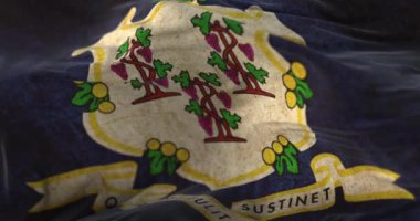 Old flag of Connecticut state, region of the United States - loop