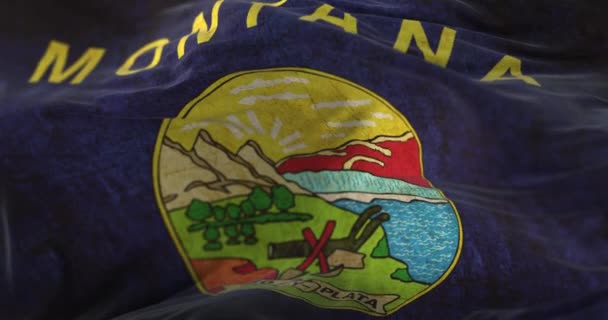 Old Flag American State Montana United States Loop — Stok video