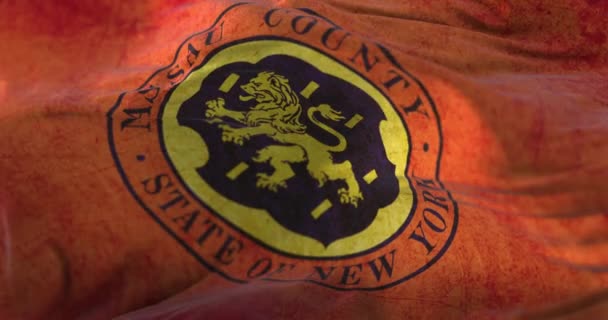 Old Flag Nassau County State New York United States Loop — Stockvideo