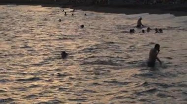 Swimmers swimming in a calm beach at sunset