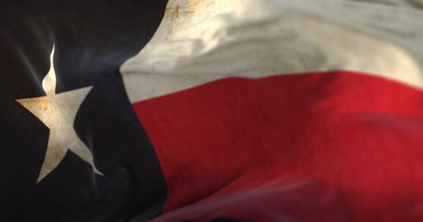 Amerika Birleşik Devletleri Nin Teksas Eyaletinin Bayrağı Döngü — Stok video