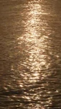 Gün batımında denizin altın dalgaları. 4K Dikey