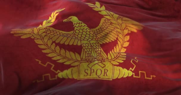 Bandeira Romana Antiga Com Áquila Spqr Laço — Vídeo de Stock