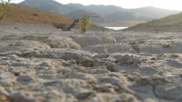 Prasklá Suchá Země Břehu Jezera Při Západu Slunce — Stock video
