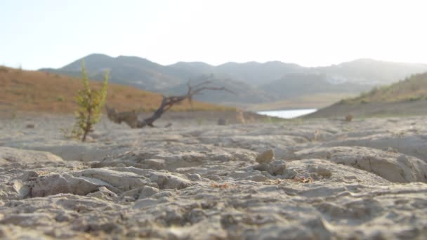 Prasklá Suchá Země Břehu Jezera Při Západu Slunce — Stock video