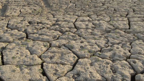 Gebarsten Droog Land Door Droogte Bodem Van Een Meer — Stockvideo