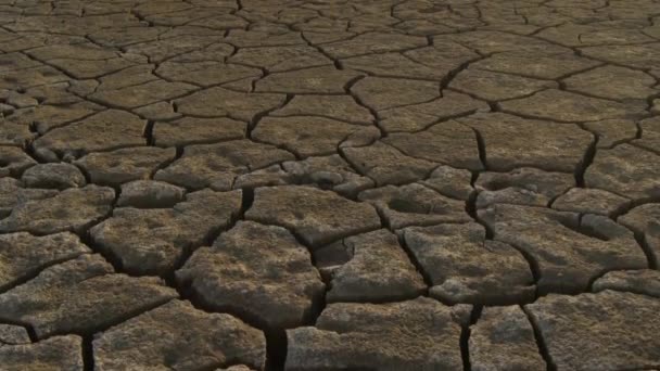 Ritorno Incrinato Dalla Siccità Lago Senza Acqua — Video Stock