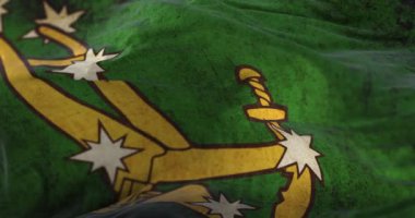 İrlanda Vatandaş Ordusu 'nun eski orijinal Starry Plough bayrağı. Döngü