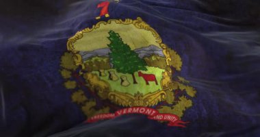 Amerika Birleşik Devletleri 'nin Vermont eyaletinin eski bayrağı. Döngü