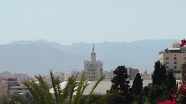 라가에 있는에 스페인의 — 비디오