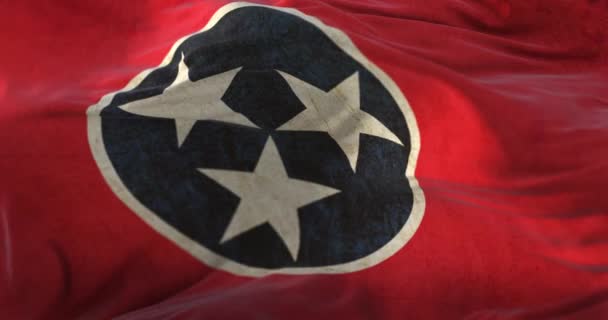 Stará Vlajka Amerického Státu Tennessee Spojené Státy Americké Smyčka — Stock video