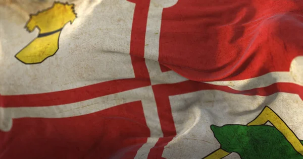 Bandera Antigua Del Condado Howard Estado Maryland Estados Unidos —  Fotos de Stock
