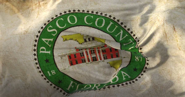 Старий Прапор Паско Округ Штату Флорида Сша Ліцензійні Стокові Зображення