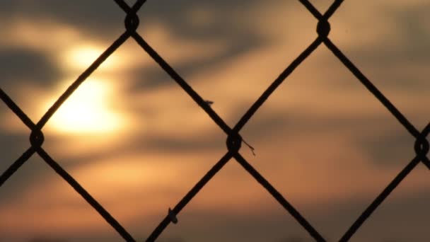夕阳西下的钢丝栅栏 — 图库视频影像