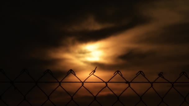 Wire Fence Sun Clouds Sunset — Stock Video