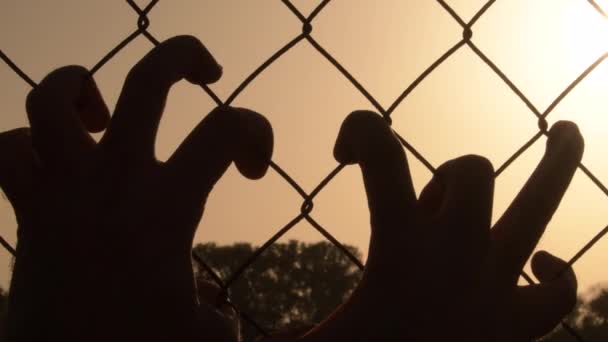 Les Mains Homme Saisissant Une Clôture Métallique Avec Soleil Coucher — Video