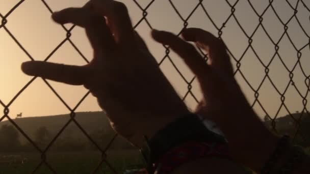 男の手は必死に日没時にワイヤーフェンスをつかむ — ストック動画