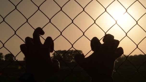 Руки Хватаются Проволочный Забор Отчаянно Солнцем Закате — стоковое видео